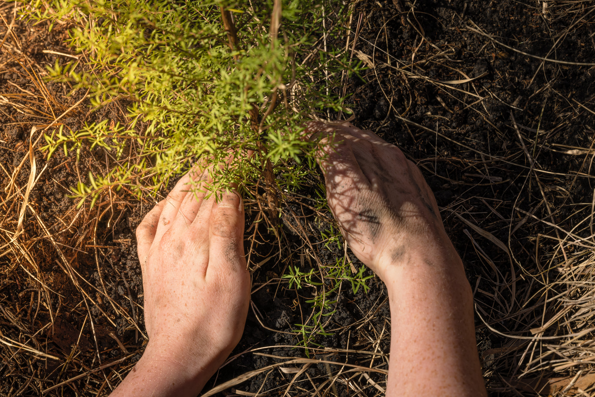 About Us - Totara Learning