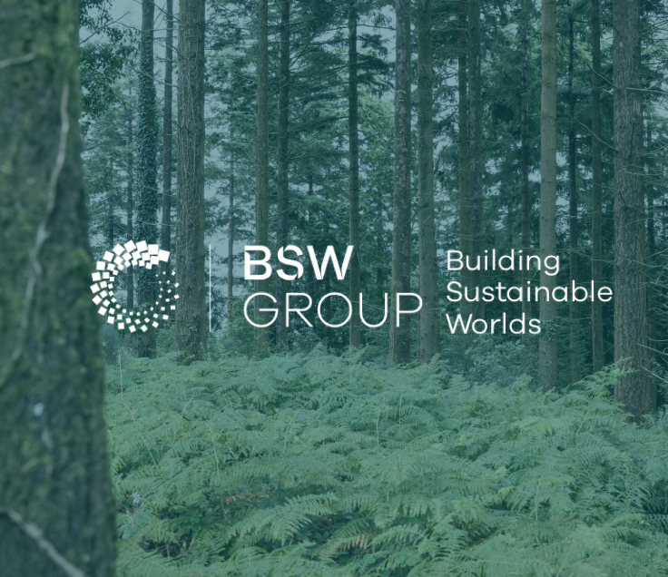 a forest image with a BSW white logo overlay 