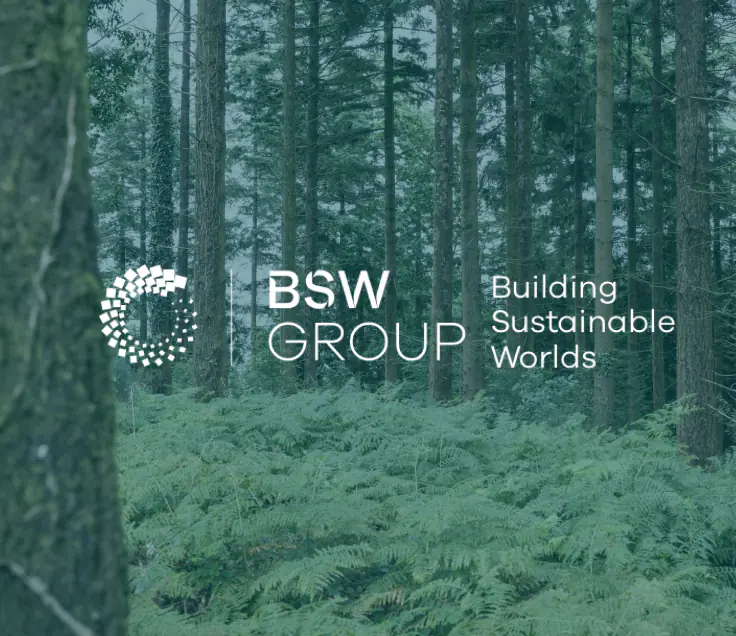 a forest image with a BSW white logo overlay
